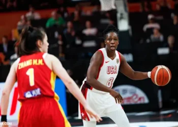 Chelsea Gray, de disciple à mentor avec Team USA