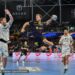 STL | Entre la Bundesliga et la Starligue, il y a désormais un monde