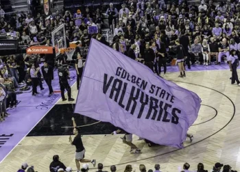 « Ballhalla », la sixième joueuse essentielle des Valkyries