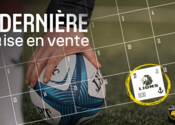 Lions, dernière mise en vente ce soir
