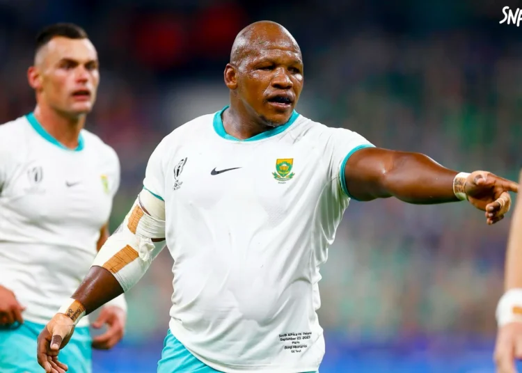 Mbonambi retrouve les Stormers et le banc face à Ulster · SNA