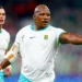 Mbonambi retrouve les Stormers et le banc face à Ulster · SNA
