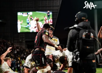 les Lions cèdent après la pause à La Rochelle · SNA